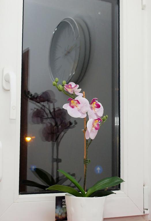 Fancy 1Bd Family Friendly In Historical Centre Daire Bükreş Dış mekan fotoğraf